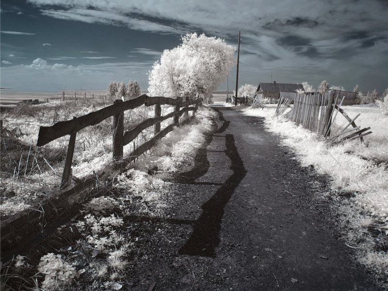 ir * * *photo preview