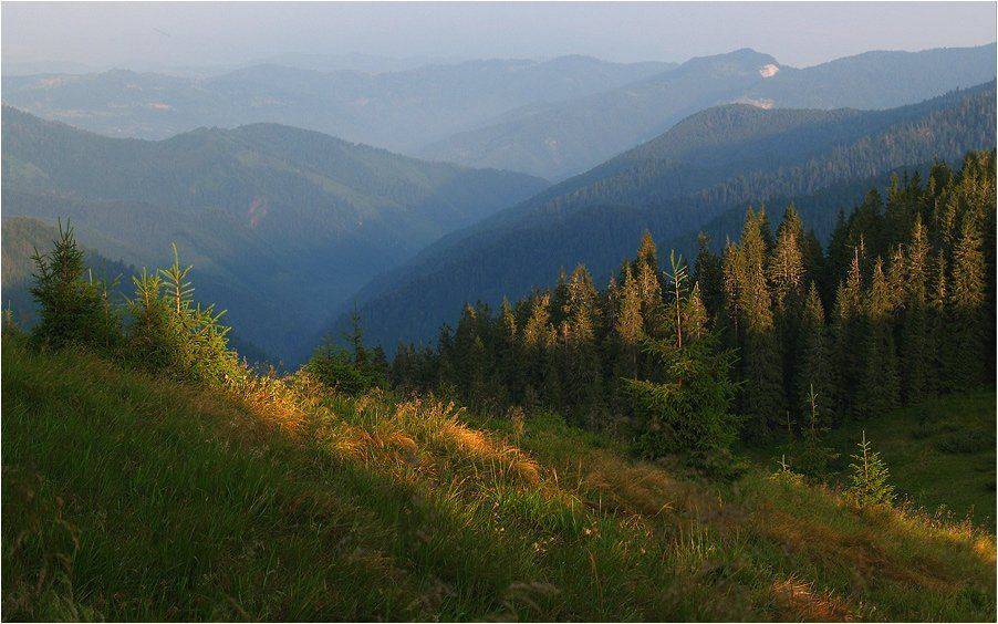 прикосновение утра. Автор: vlad , vlad