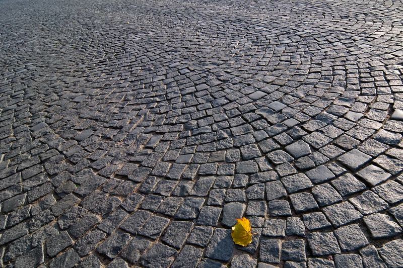 осень Петербургphoto preview