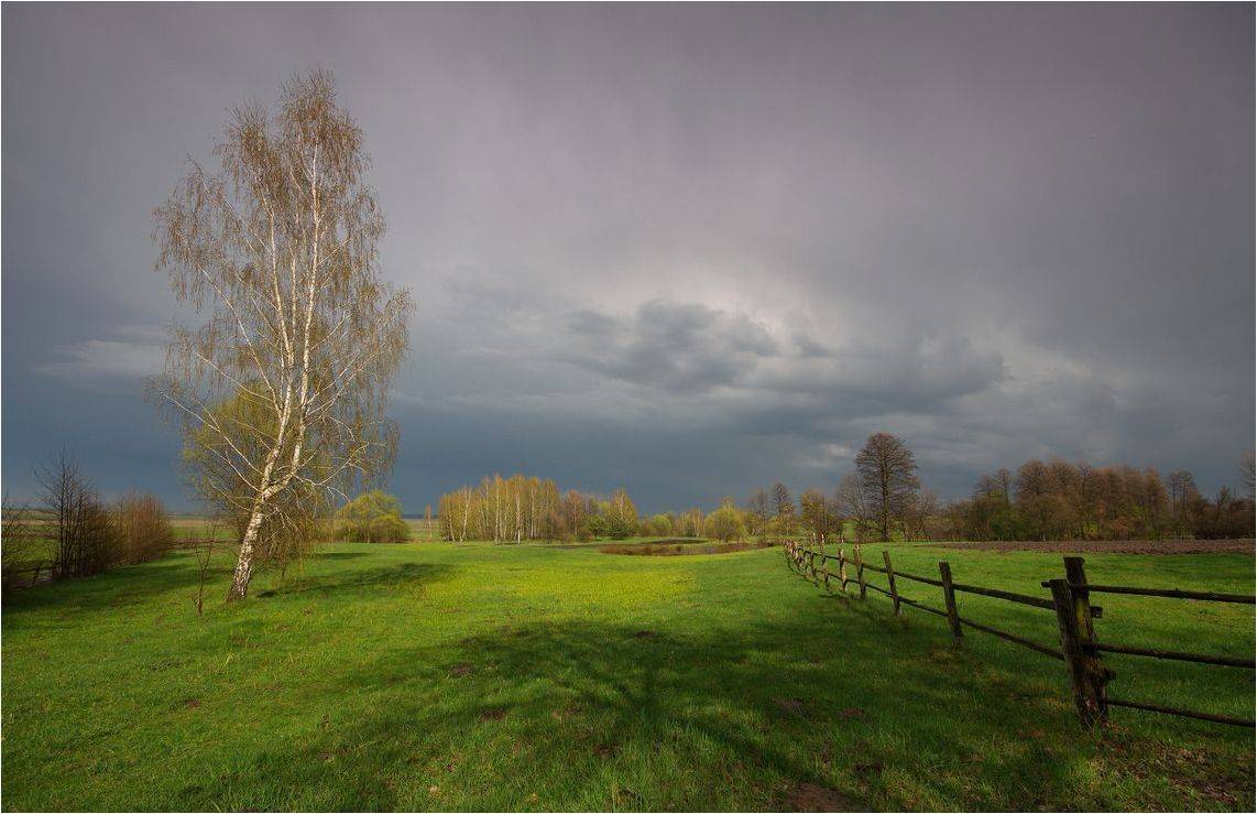 После грозы. Автор: Володимир Карчевський , Володимир Карчевський