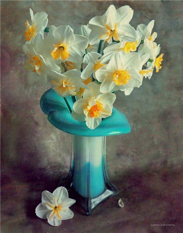 нарцисс Жизнь нарциссовphoto preview