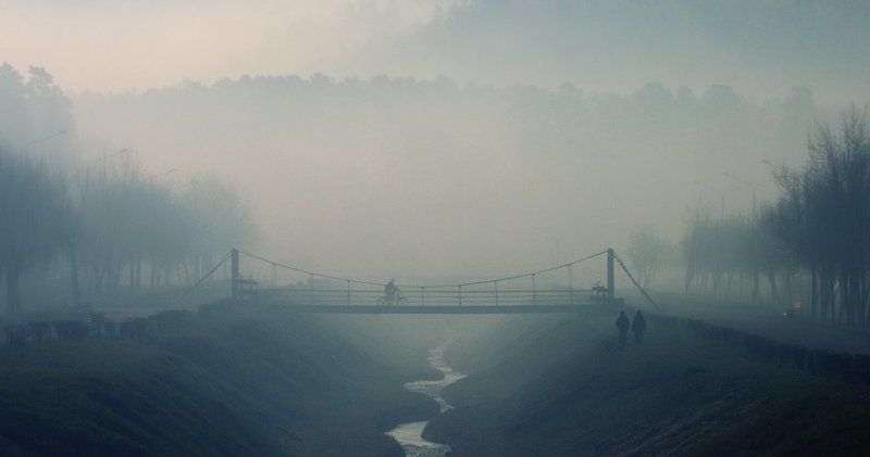 Про то, как Ваня и Петя подкарауливали Сергея Петровича.photo preview