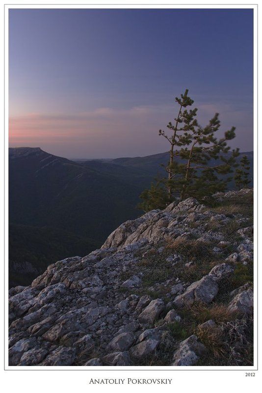 крым, горы, демерджи, хапхал, тырке, вечер, закат, скалы, камни, сосна, анатолий покровский Солнечный ветер фото превью