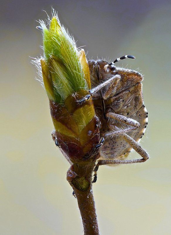 уходи!... я тебя боюсь!photo preview