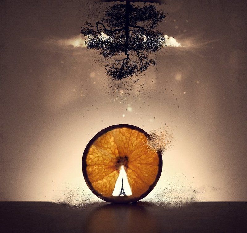 orange,tower,paris,clouds,tree,photo,art,digital,vladimir,shipulin,фото,арт,владимир,шипулин,апельсин,сюр,сюрреализм,surrealism,башня,париж,облако,дерево Зима в Париже...photo preview