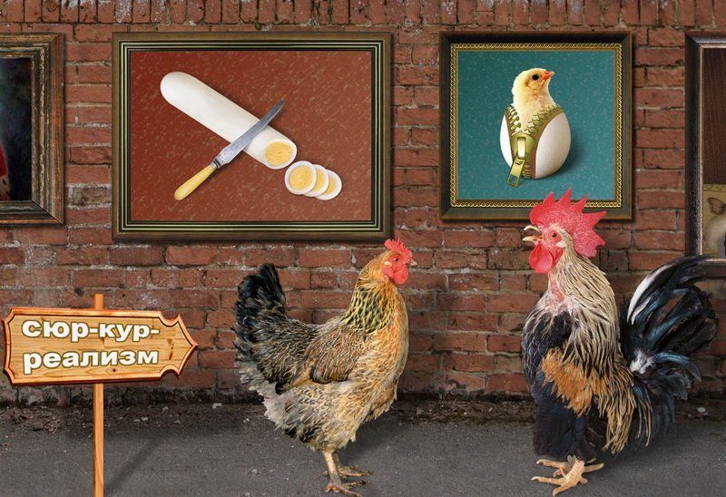 выставка На выставке... фото превью