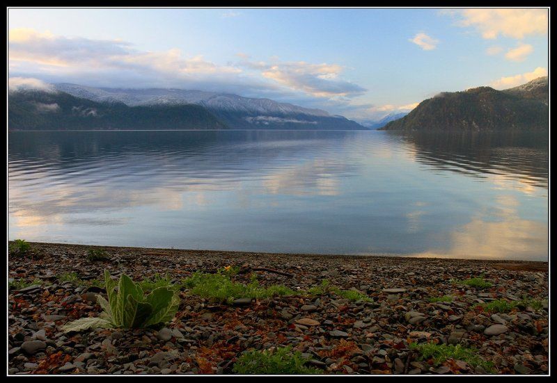 алтай, телецкое, озеро Телецкое утро.photo preview