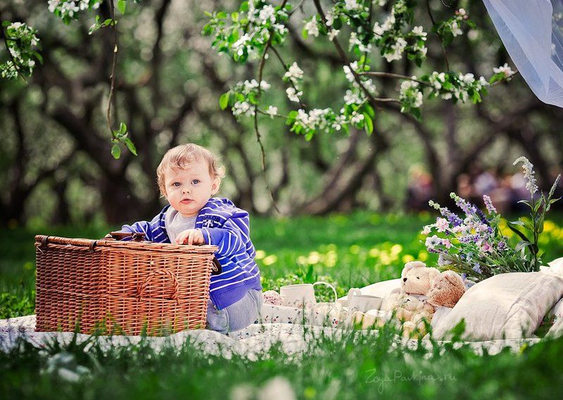 Ваняphoto preview