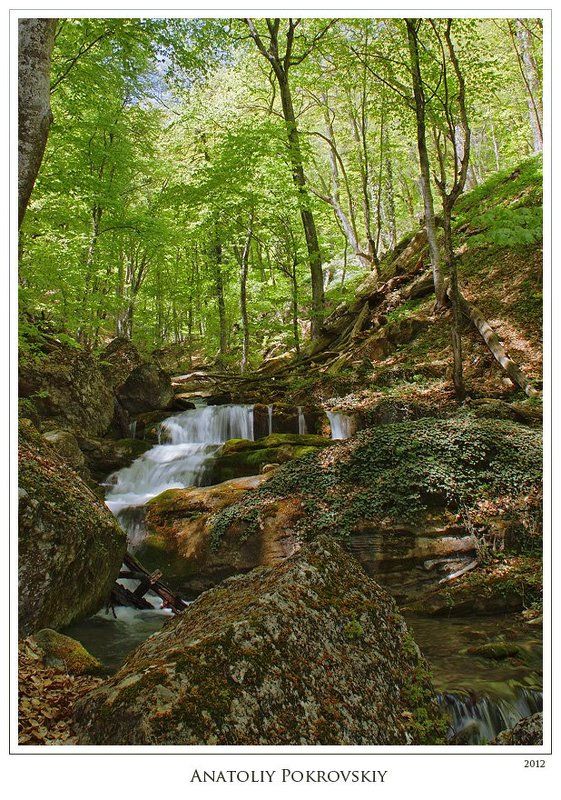 крым, горы, хапхал, водопад , камни, лес, анатолий покровский Зимняя стужа укрылась в горном ручье. Пришла весна. фото превью
