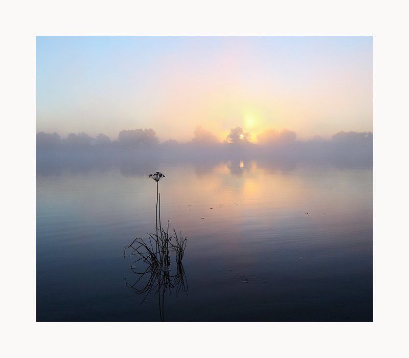 утро, река, туман, трава ***photo preview