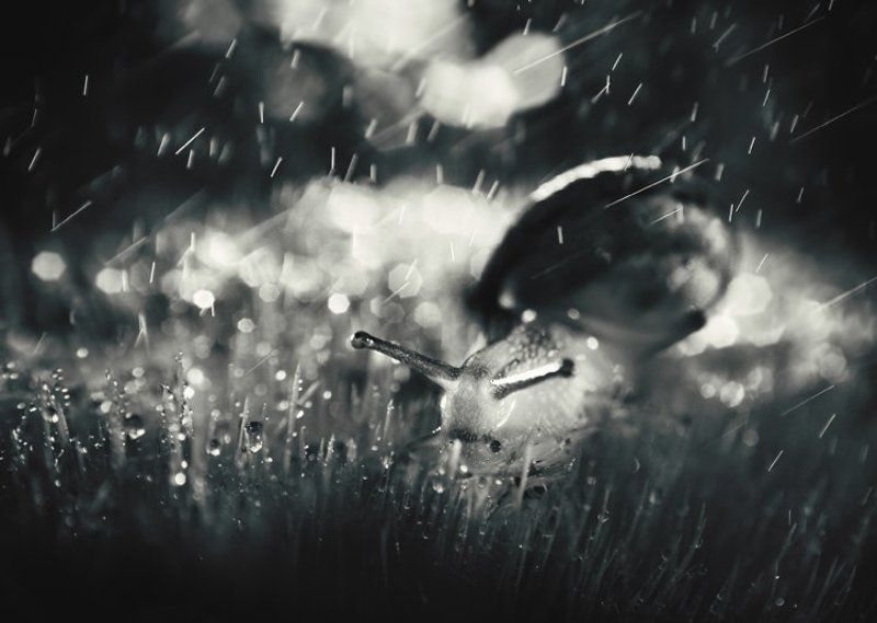 It was a dark and stormy nightphoto preview