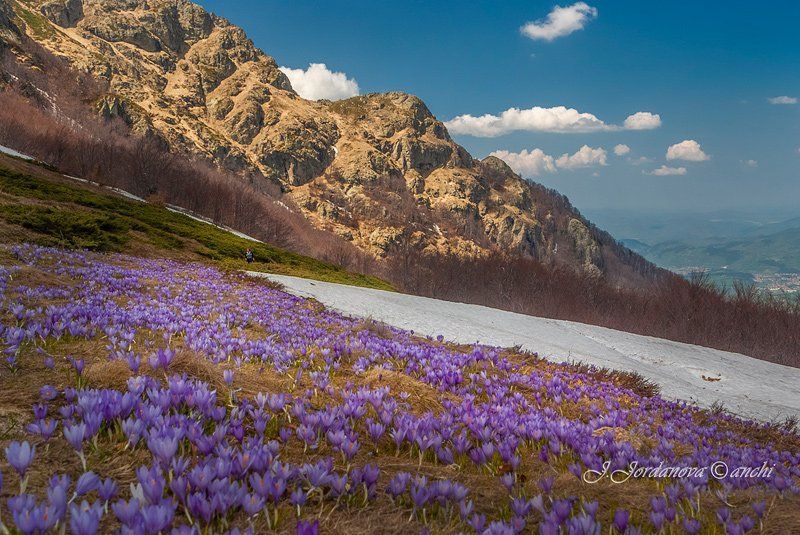 What a Wonderful World...photo preview