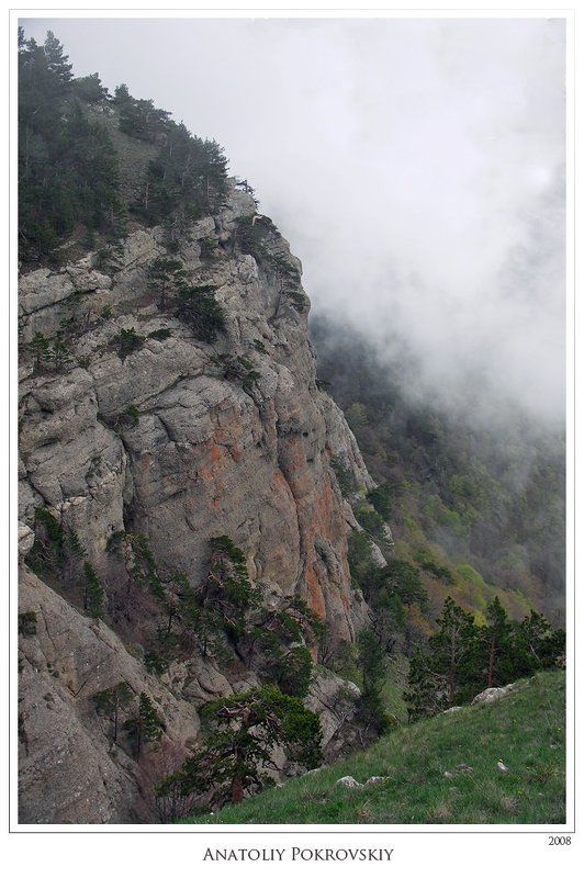 крым, горы, демерджи, туман, облака, весна, деревья, сосны, анатолий покровский Сосны жмутся к шершавым откосам скал. Скупое тепло ранней весны. фото превью