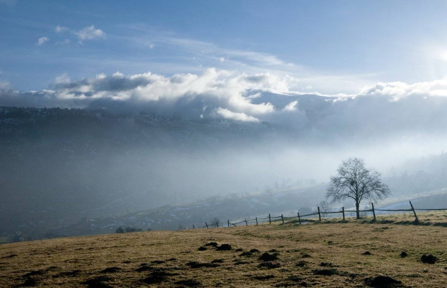 карпаты, природа, дерево, пейзаж, Piligrim