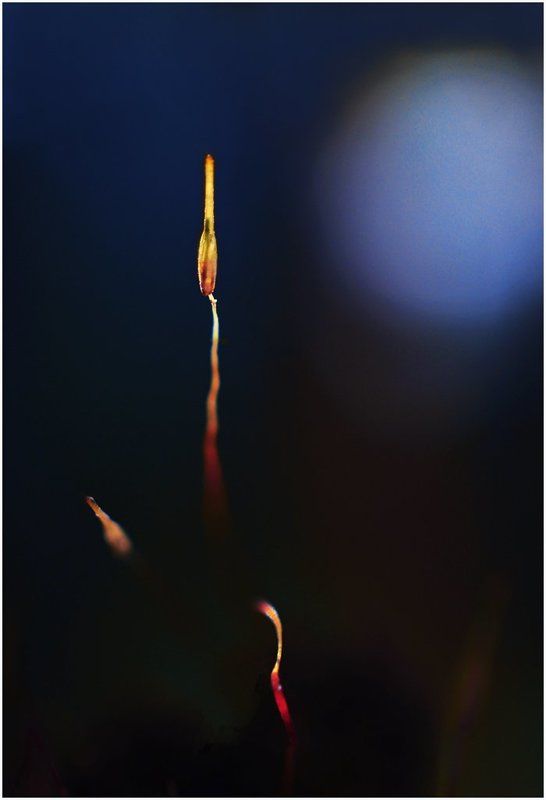 Ракетаphoto preview