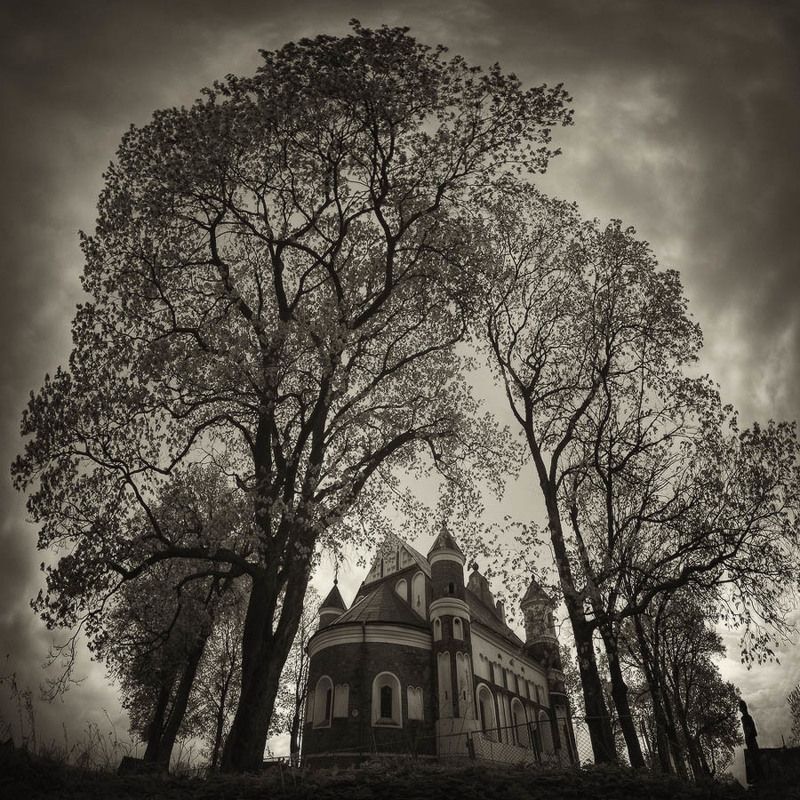 мурованка, церковь, оборонительный, храм, бойницы, деревья Мурованкаphoto preview