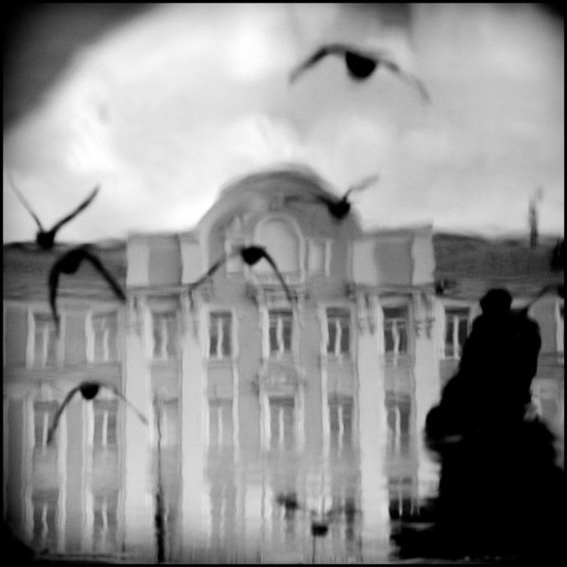 *** фото превью