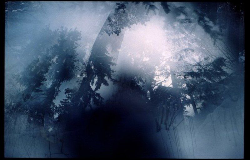 dance of the blessed spiritsphoto preview