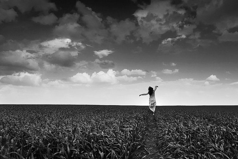 Black and white springphoto preview