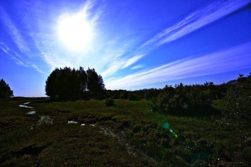 Бектаушамбареализмphoto preview