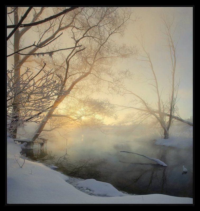 одно утро зимыphoto preview