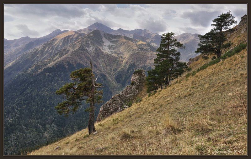 кавказ, кчр, горы, сосны, осень Говорящие с ветром... фото превью