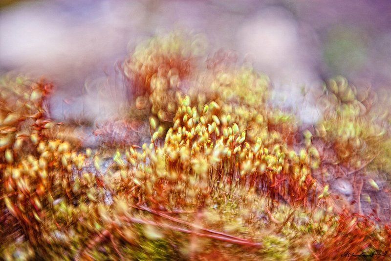 Закружилась голова..photo preview