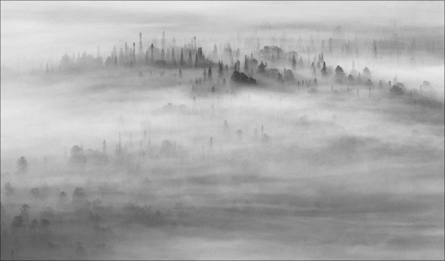 , Евгений Мартов