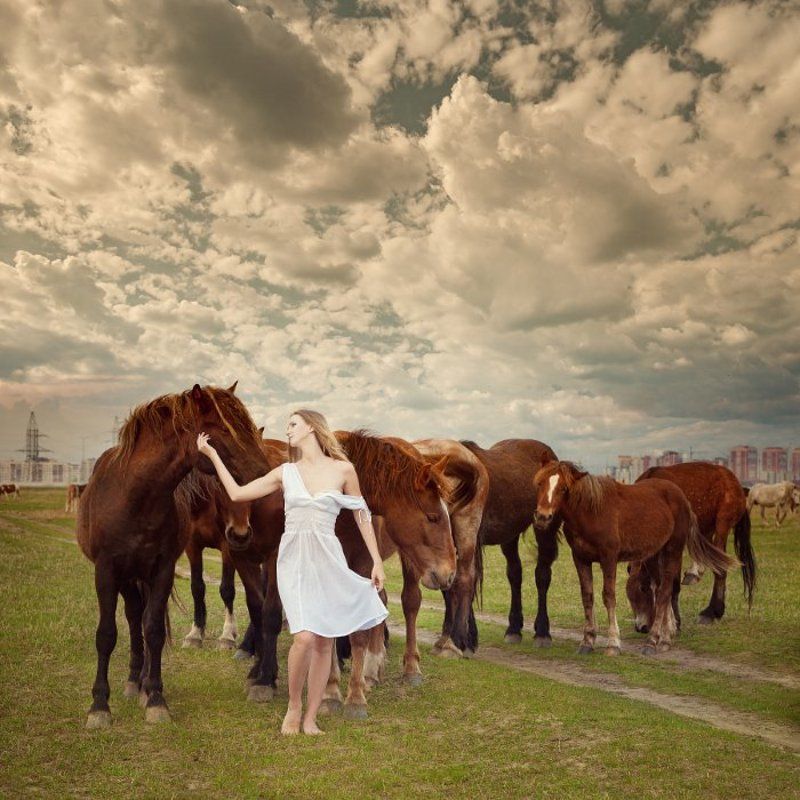 девушка, лошади ***photo preview