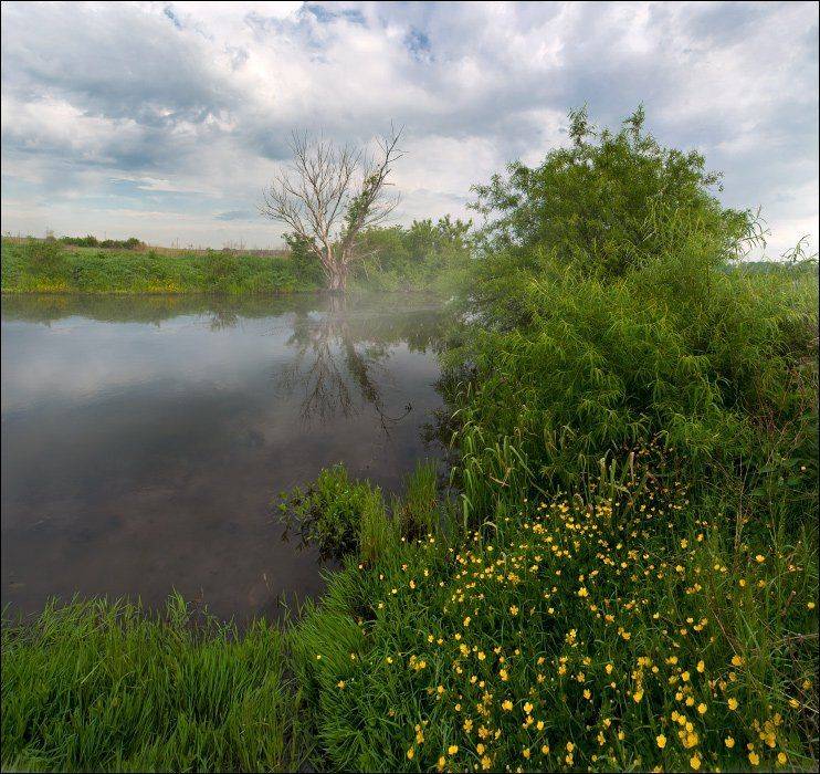 .... Автор: Полищук И.В. , Полищук И.В.