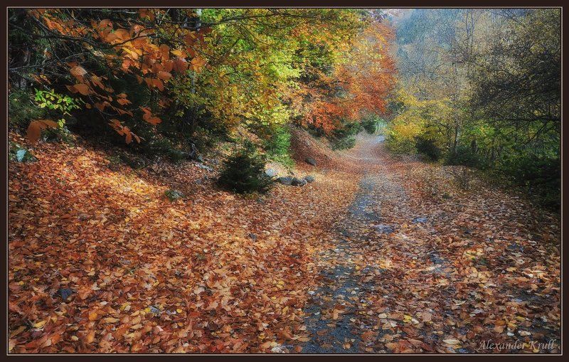 кавказ, кчр, осень, горы, лес Осенними тропами...photo preview