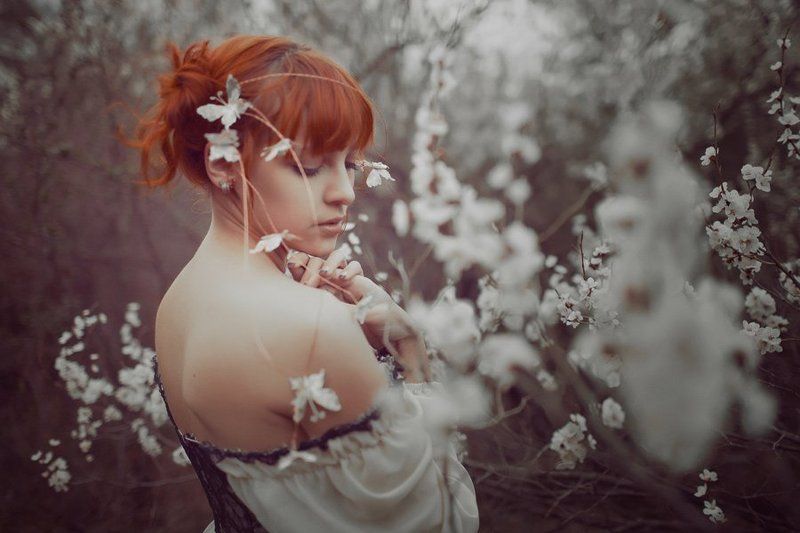 Весенние бабочкиphoto preview