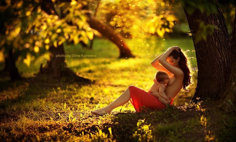 молоко и мёдphoto preview