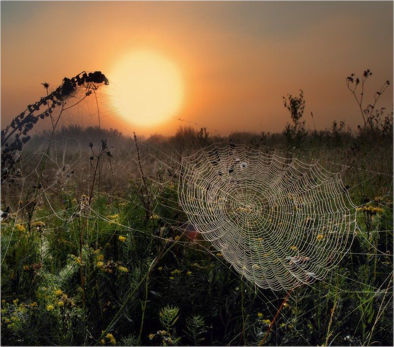 Гамак для солнцаphoto preview