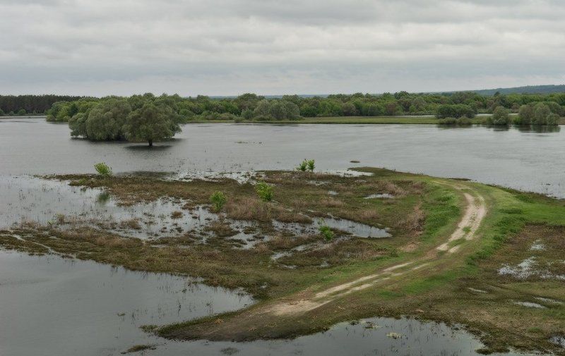 река, десна, разлив, дорога Из ниоткуда в никудаphoto preview