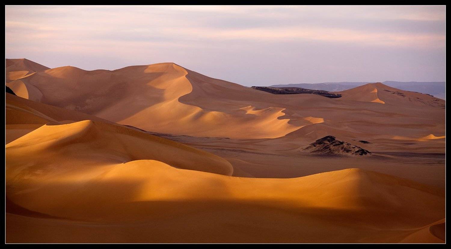 Горячий Песок.... Автор: Виктория Роготнева сахара , алжир, дюны, Виктория Роготнева