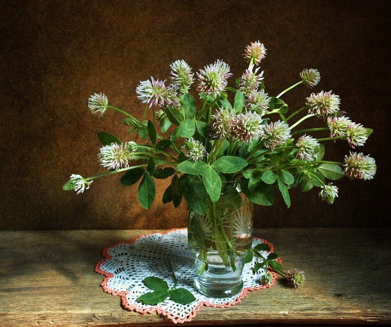 С клеверомphoto preview