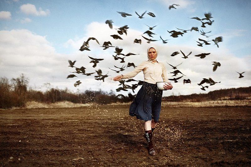 Голодная пашняphoto preview