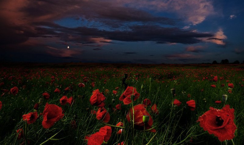 Макиphoto preview