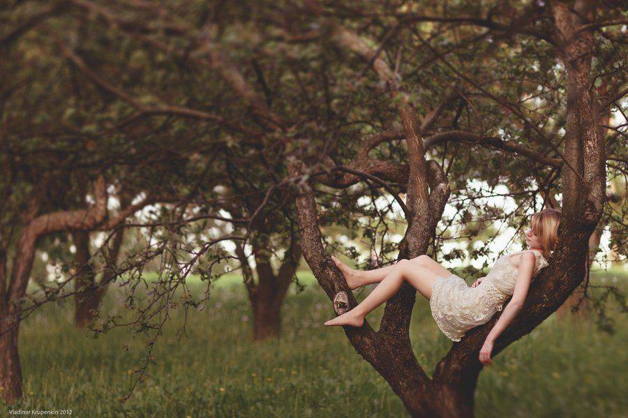 Автор: Vladimir Krupenkin , Vladimir Krupenkin