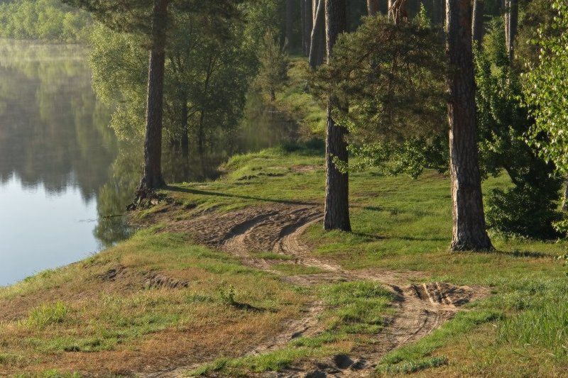 утро, десна, река, туман, рассвет Летним утром на Деснеphoto preview