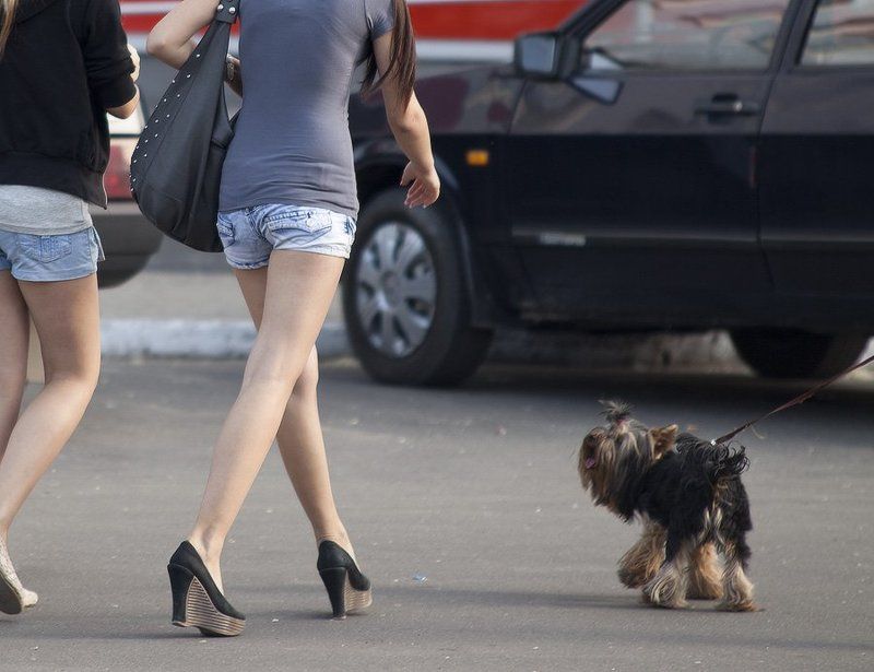 жанр, стрит ***photo preview