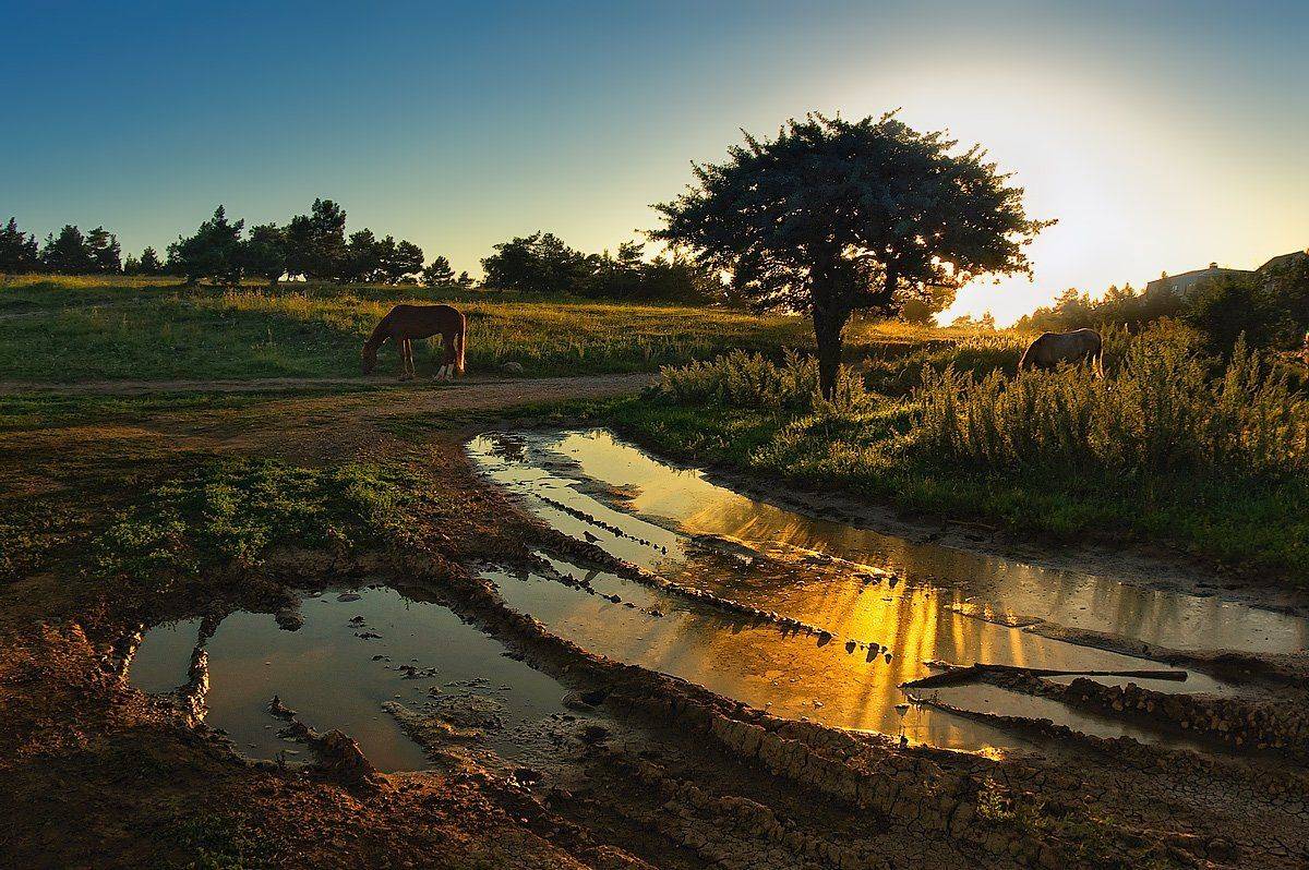 , Игорь Мелекесцев