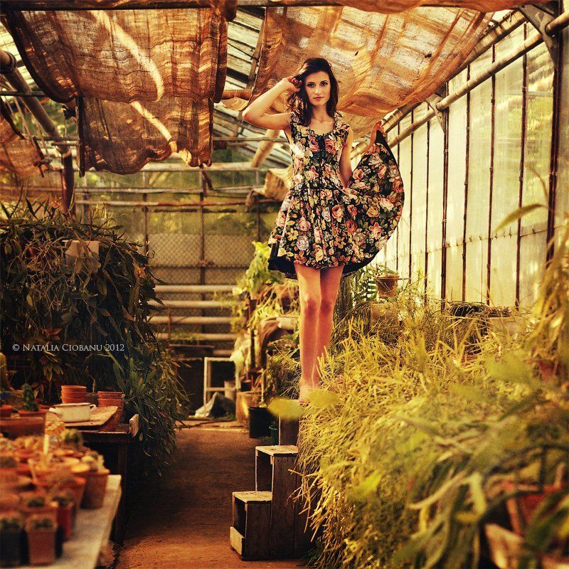 Secret Gardenphoto preview