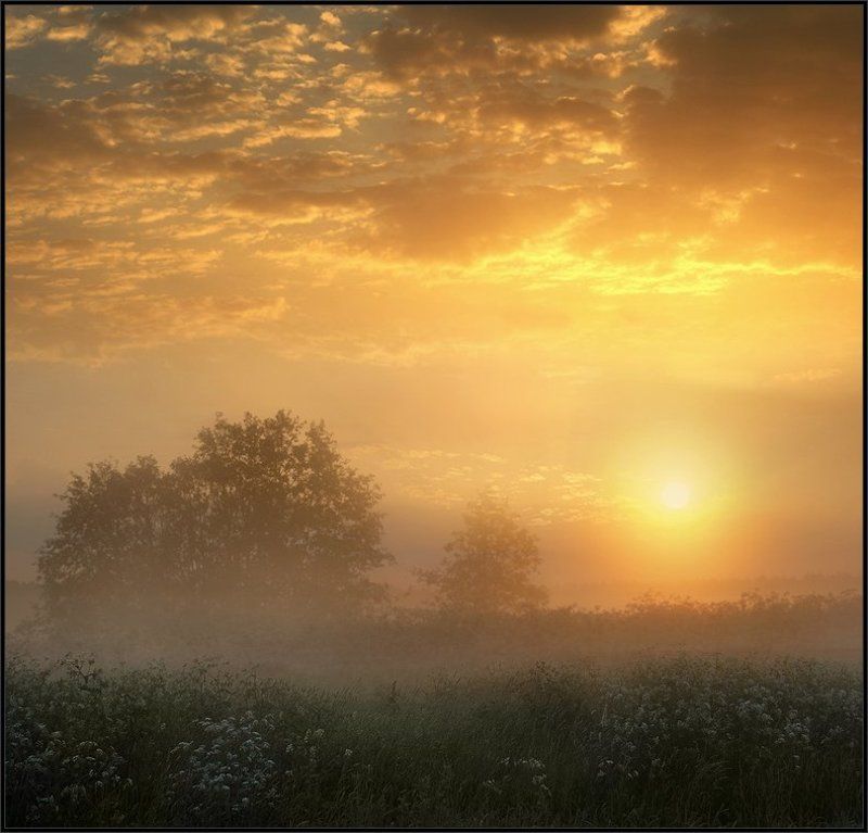 Тёплое утроphoto preview