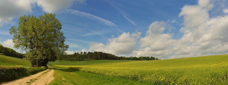 Майский деньphoto preview