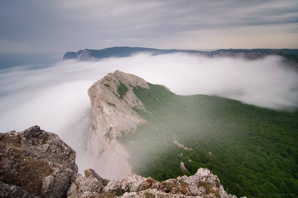 , Юрий Коваленко