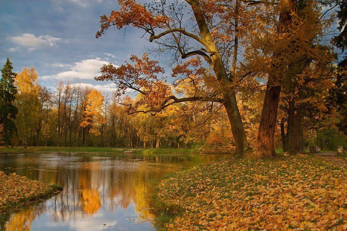 Осень в Александровском парке. Автор: Sergey , Sergey