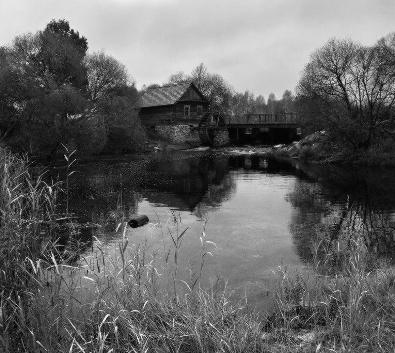 Прохладное спокойствиеphoto preview