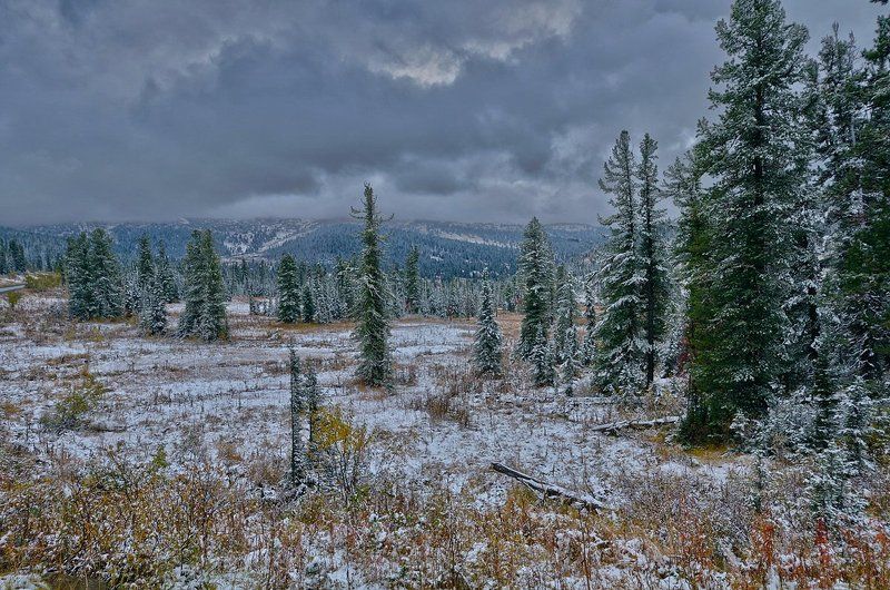 Сентябрь в Саянах.photo preview